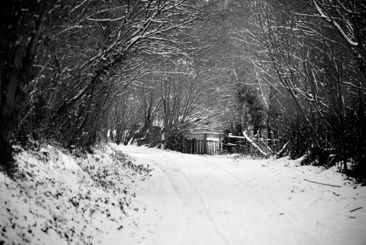 DSC_0593-Modifier-Modifier