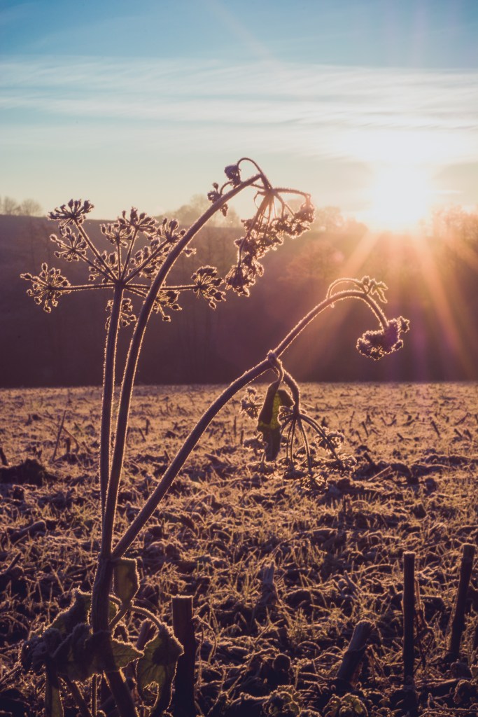 2013-1210sans titre-37-Modifier