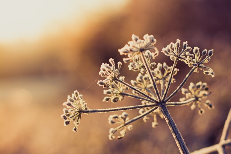 2013-1210sans titre-43-Modifier