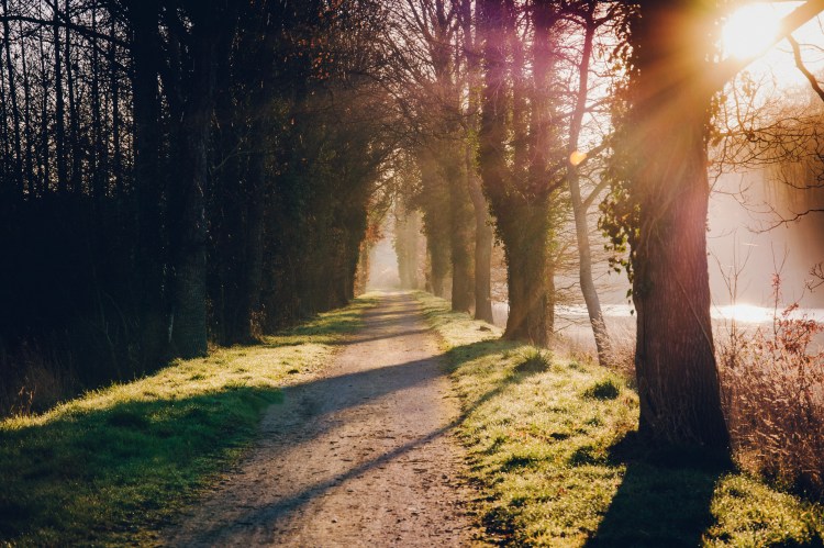 2014-0203sans titre-13-Modifier