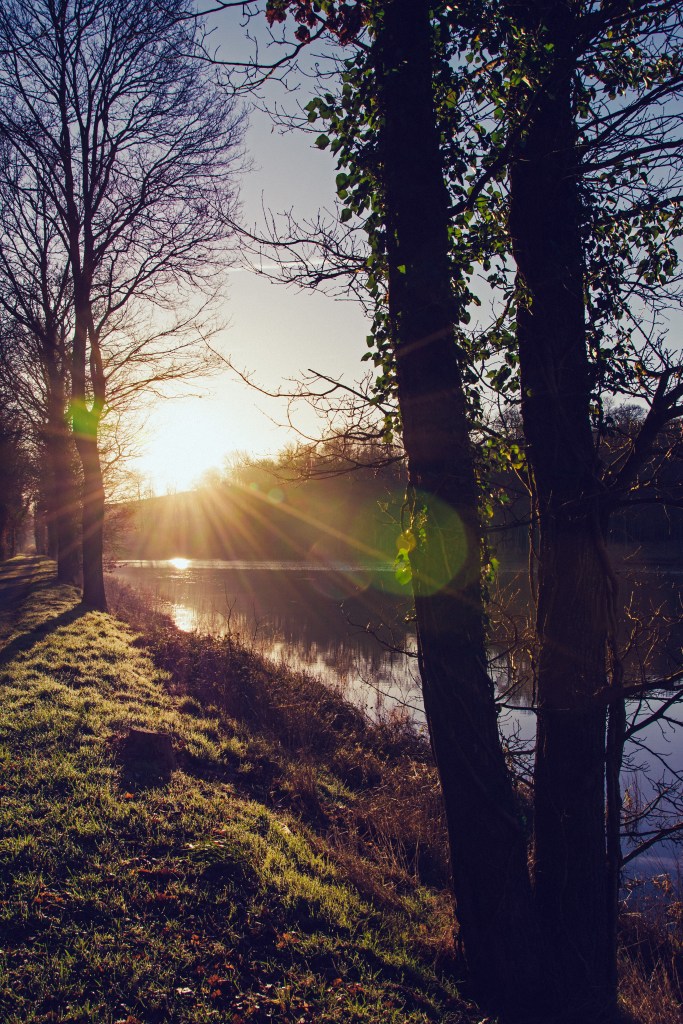 2014-0203sans titre-27-Modifier