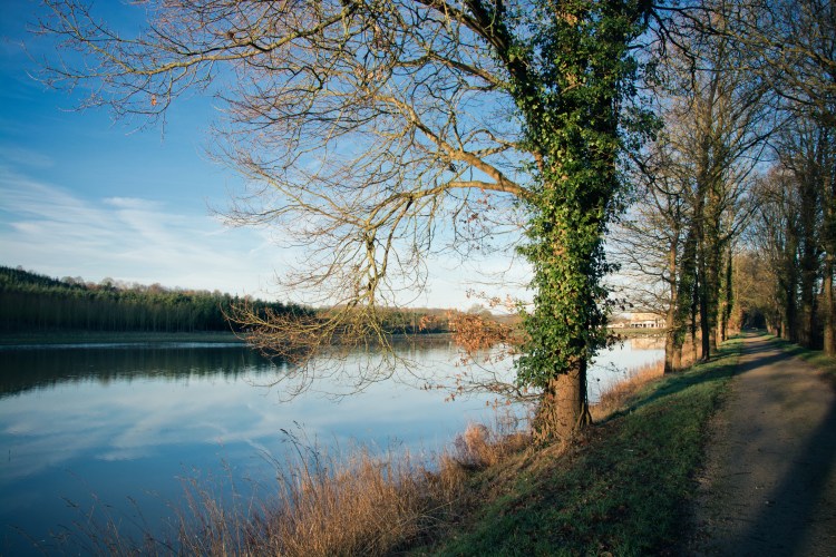 2014-0203sans titre-40-Modifier-2