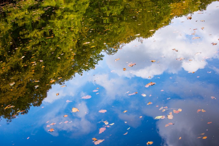 08102014-DSC_6326laherse