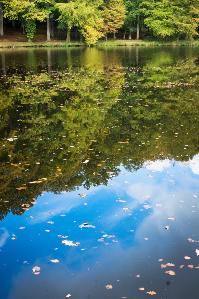 08102014-DSC_6332laherse