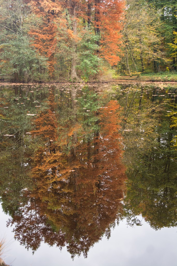 01112014-DSC_7653veg