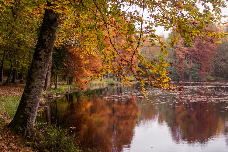 01112014-DSC_7747veg