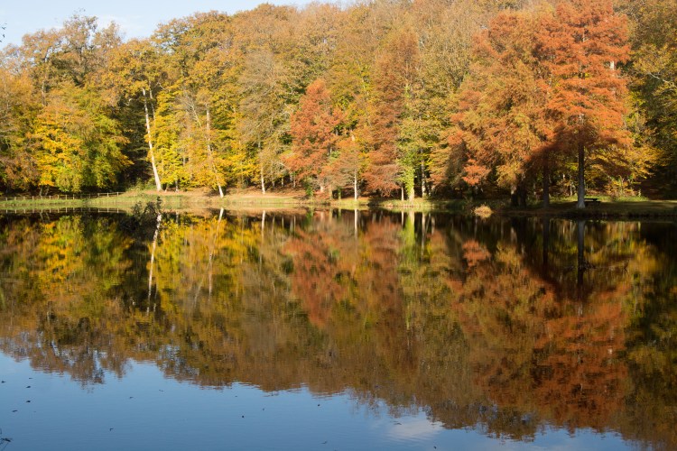 05112014-DSC_8217veg