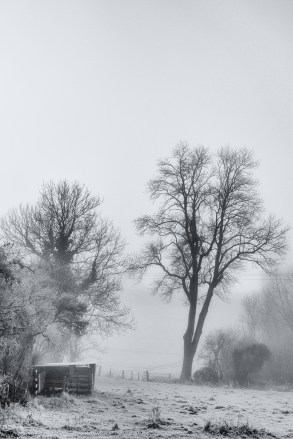 09122014-DSC_0032-Modifierveg