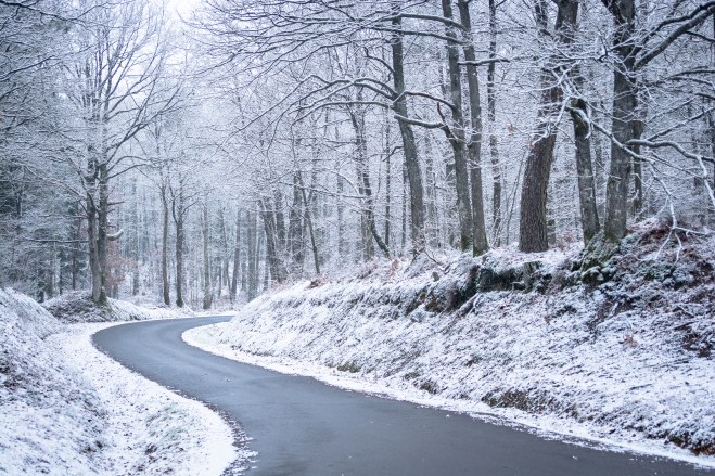 03022015-DSC_2224veg