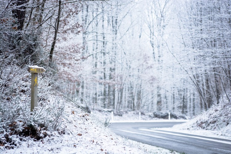 03022015-DSC_2234veg