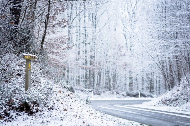 03022015-DSC_2234veg