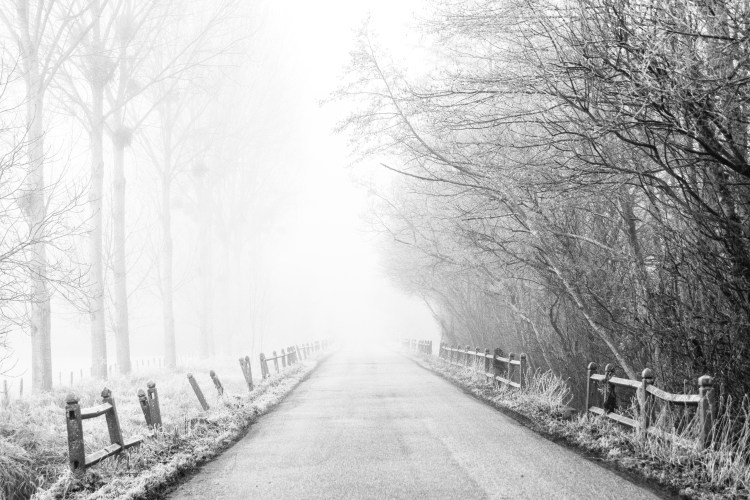 17012015-DSC_1834-Modifierveg