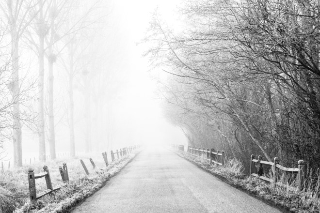 17012015-DSC_1834-Modifierveg