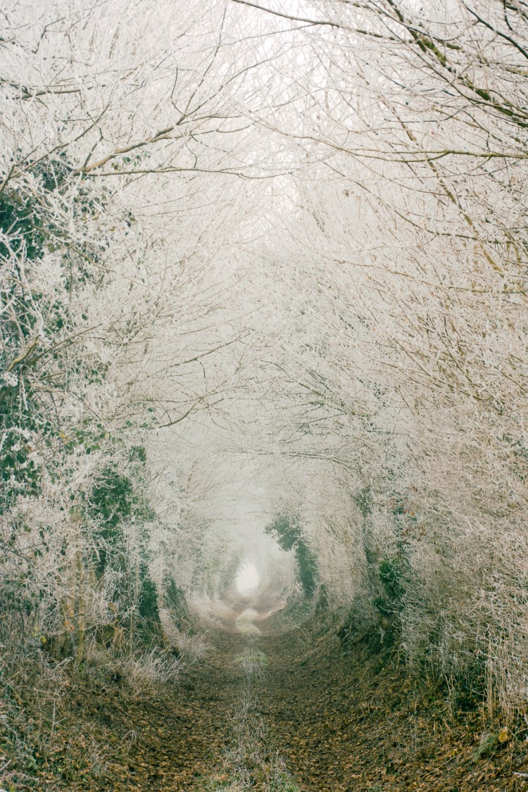 2016décembre3030frost-3