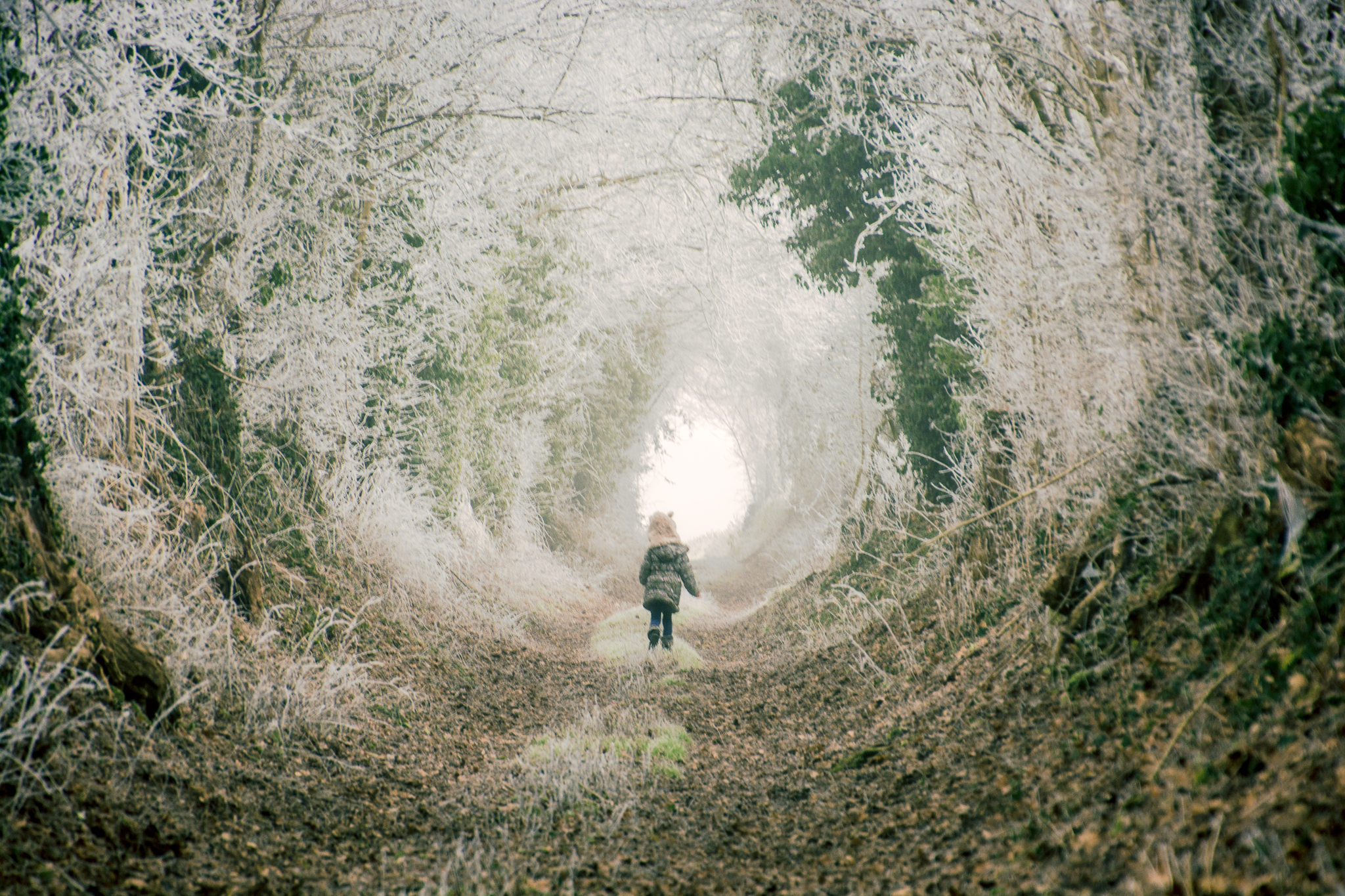 2016décembre3030frost-7