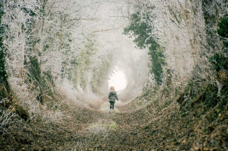 2016décembre3030frost-7