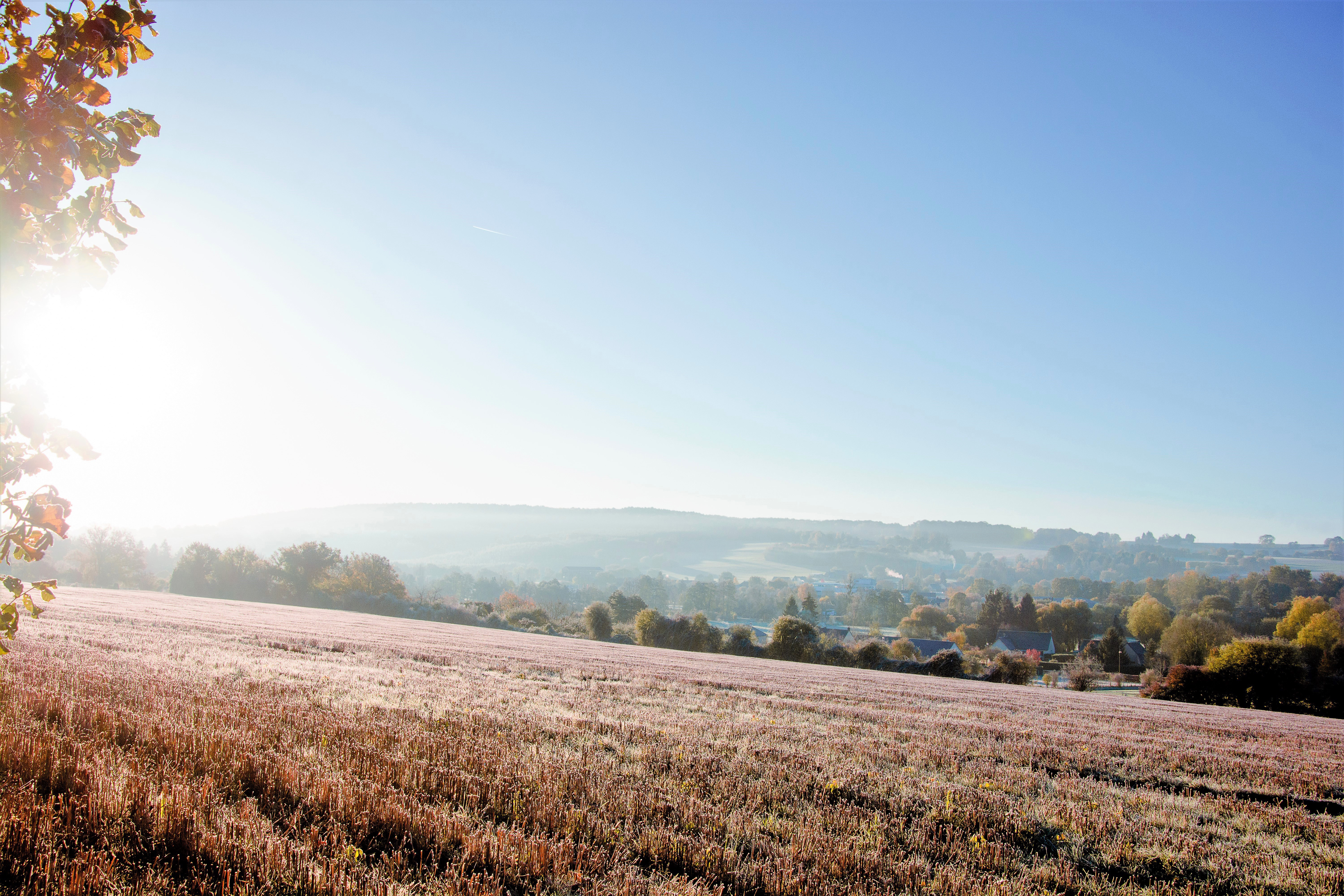 07112017-DSC_6730-ModifierFrost (3)